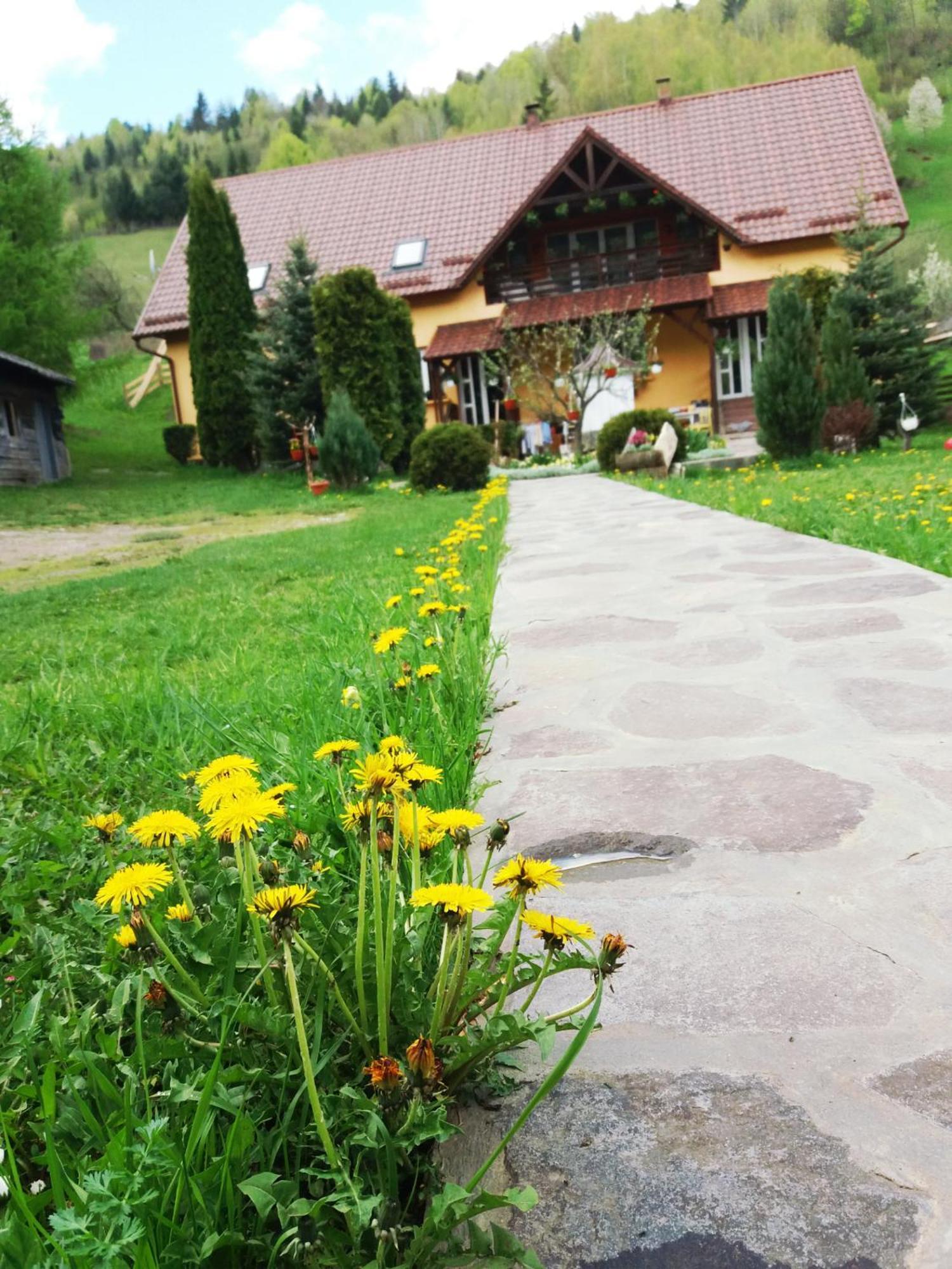 Casa Lucia Hotel Damuc Екстериор снимка